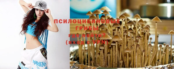 PSILOCYBIN Абдулино