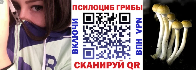 Псилоцибиновые грибы GOLDEN TEACHER  где продают наркотики  Чита 